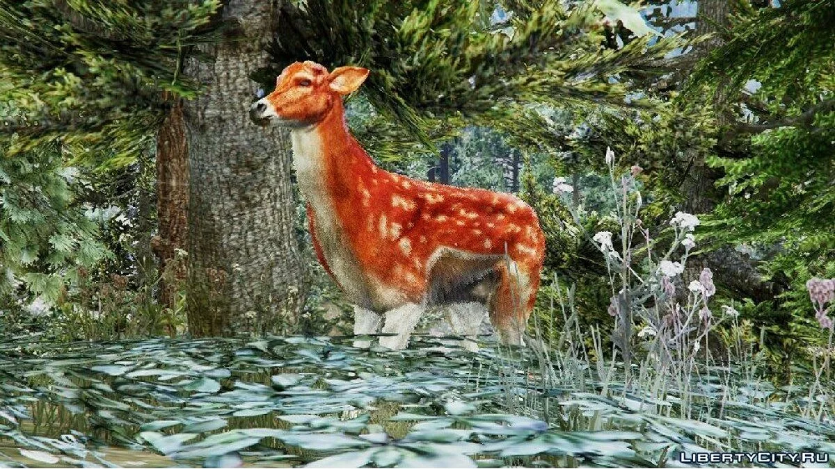 Fallow Deer / GTA 5