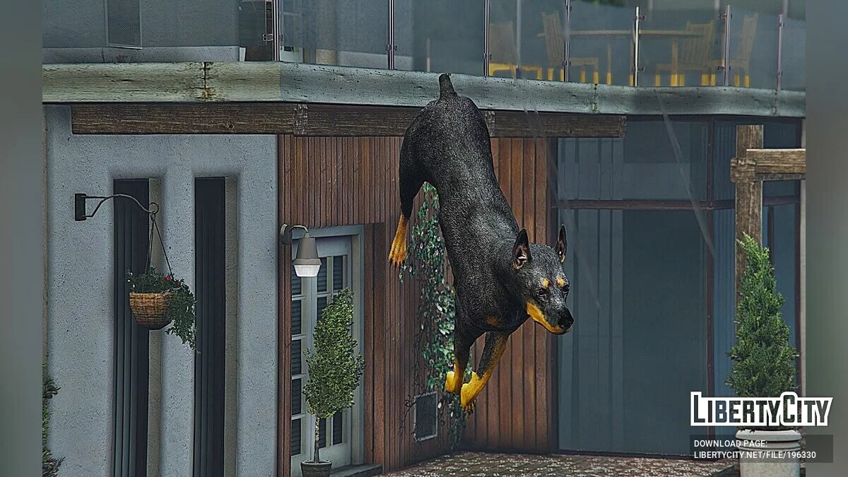 Доберман / GTA 5