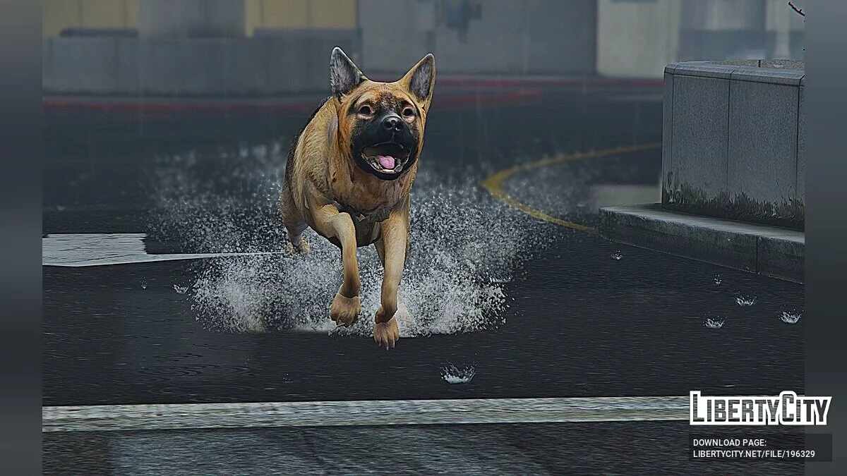 Germany Wolf / GTA 5
