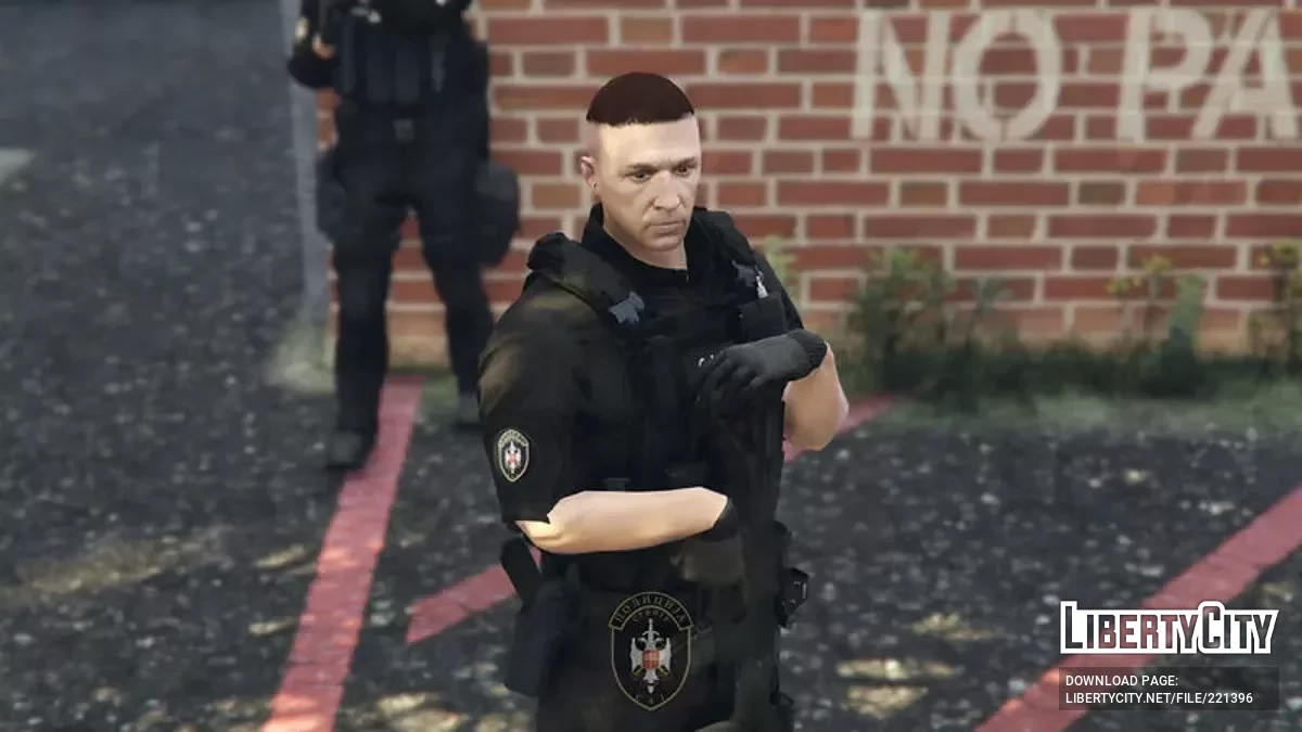 SAJ Pack [MP Male] / GTA 5