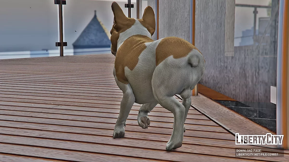 Французский бульдог [Add-On] / GTA 5