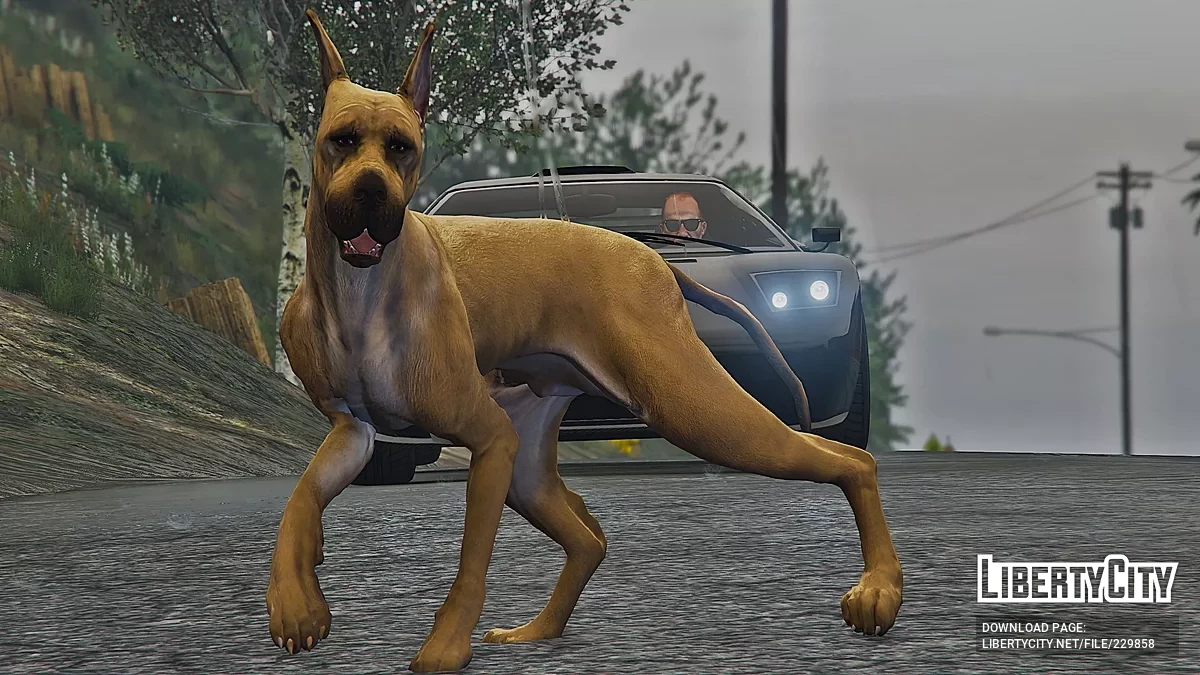 Немецкий дог (Replace) / GTA 5