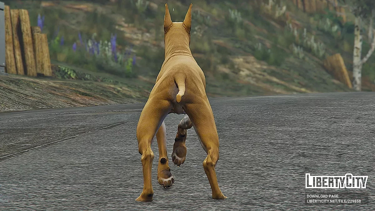 Немецкий дог (Replace) / GTA 5