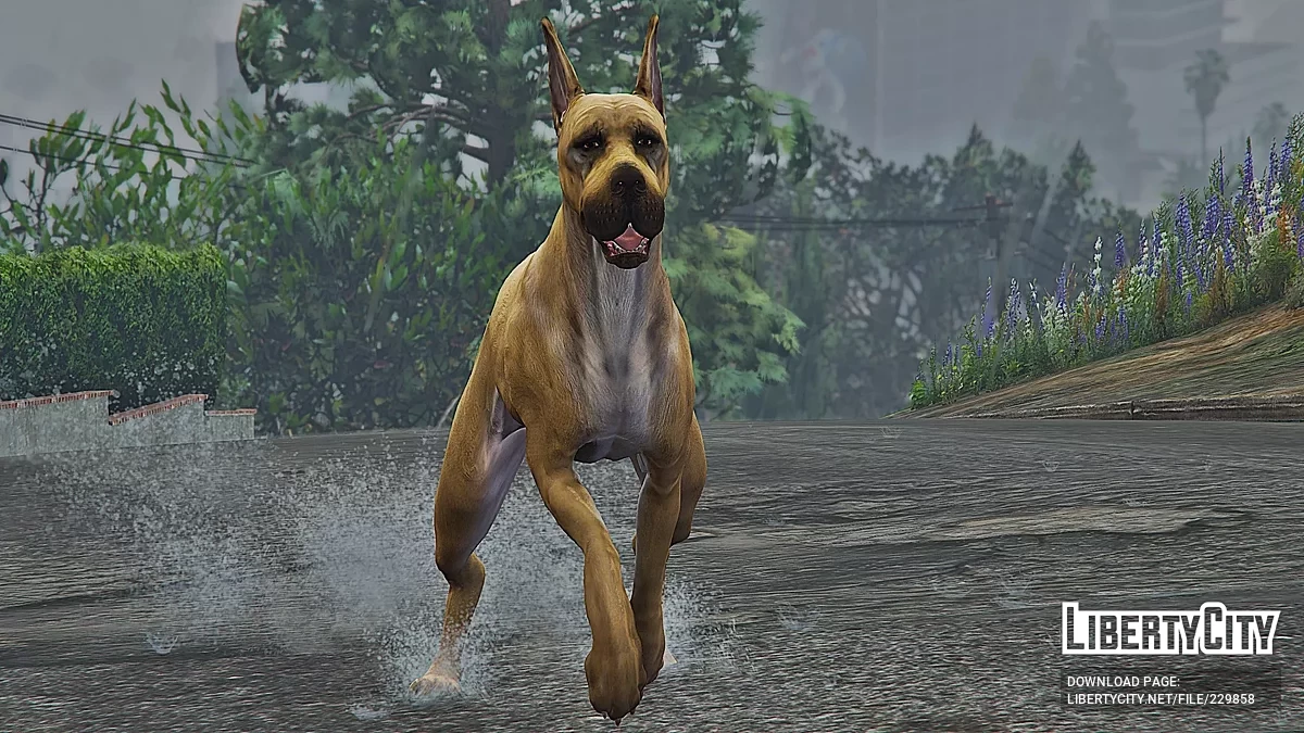 Немецкий дог (Replace) / GTA 5