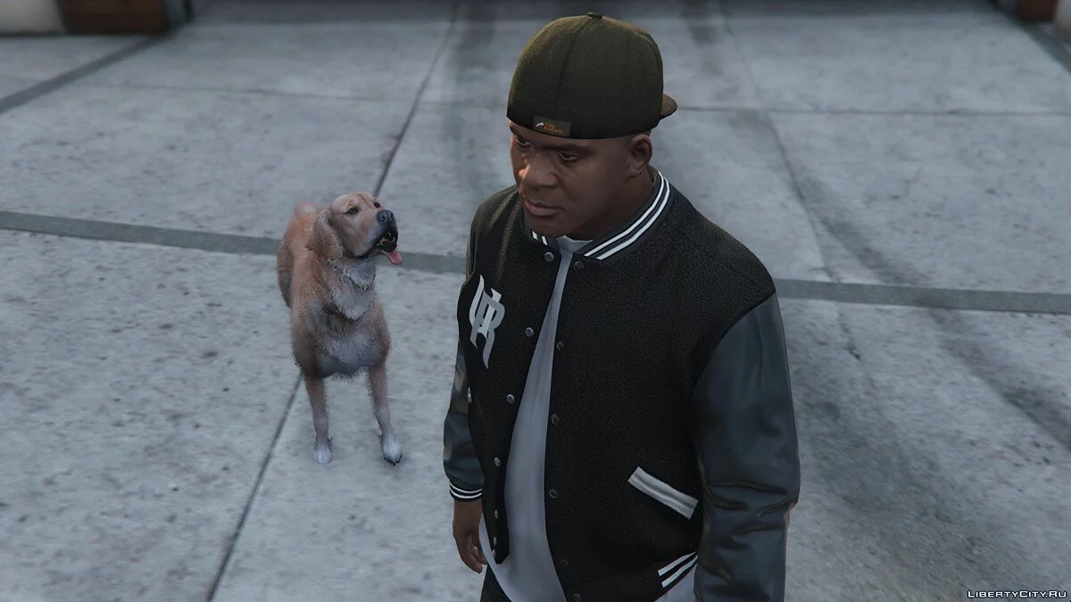 Золотистый Ретривер / Golden Retriever Pet Mod / GTA 5