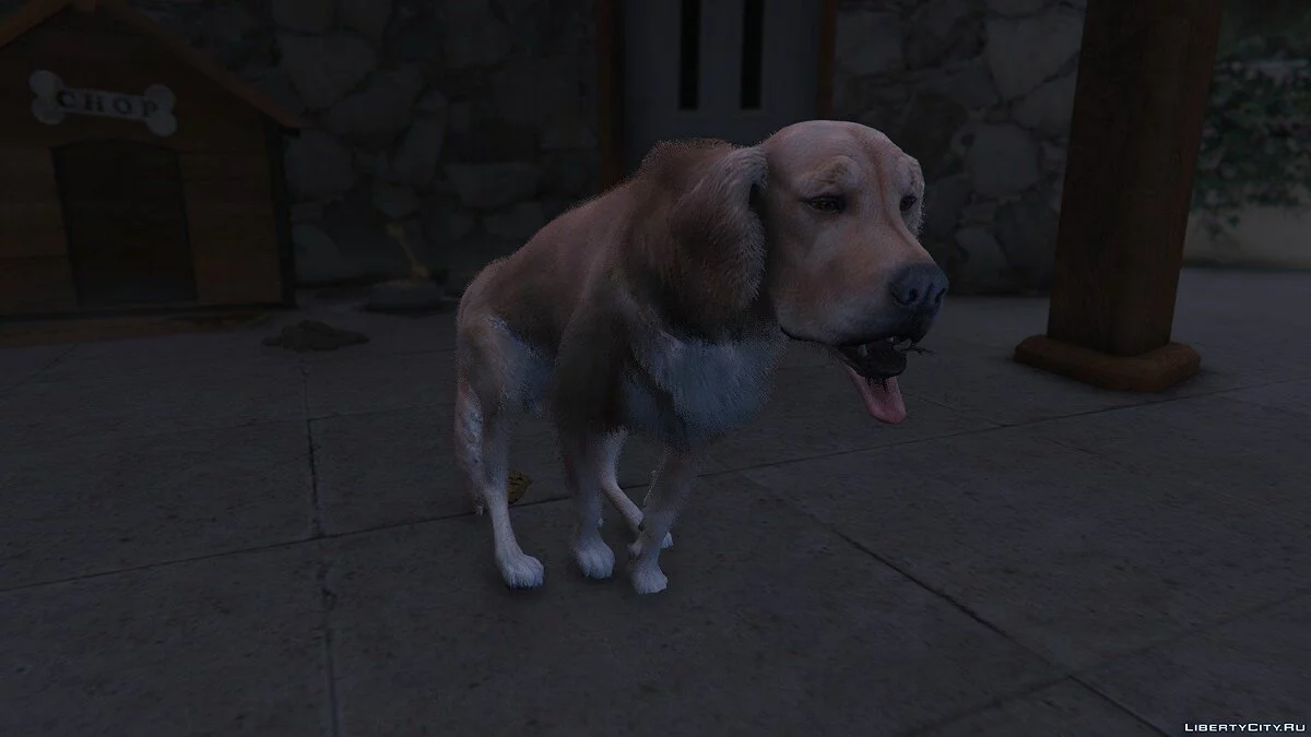 Золотистый Ретривер / Golden Retriever Pet Mod / GTA 5