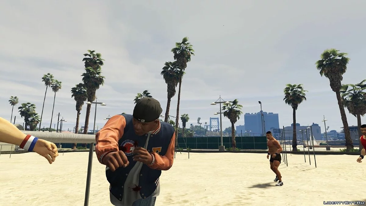 Реалистические драки / GTA V Realistic Brawling 1.6+ / GTA 5