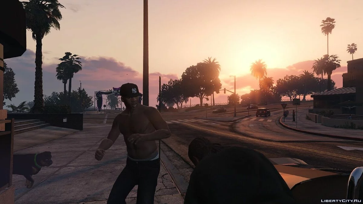 Реалистичные драки / GTA V Realistic Brawling 1.7+ / GTA 5
