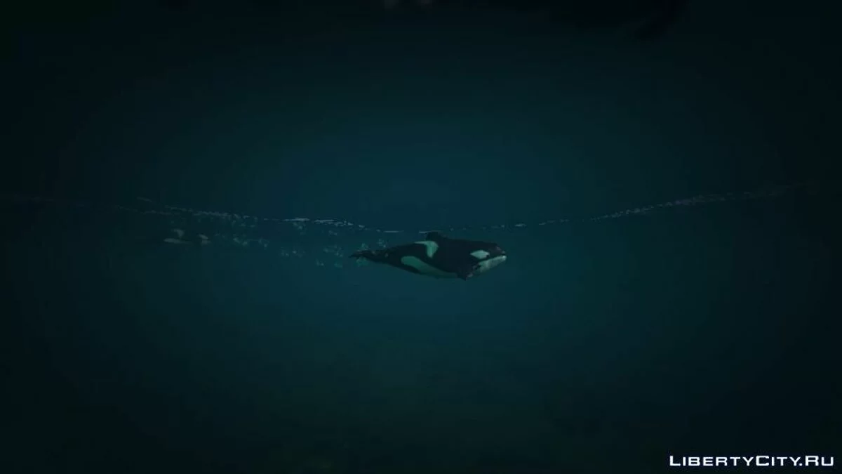 Aikido Free Cam v1.0  / GTA 5