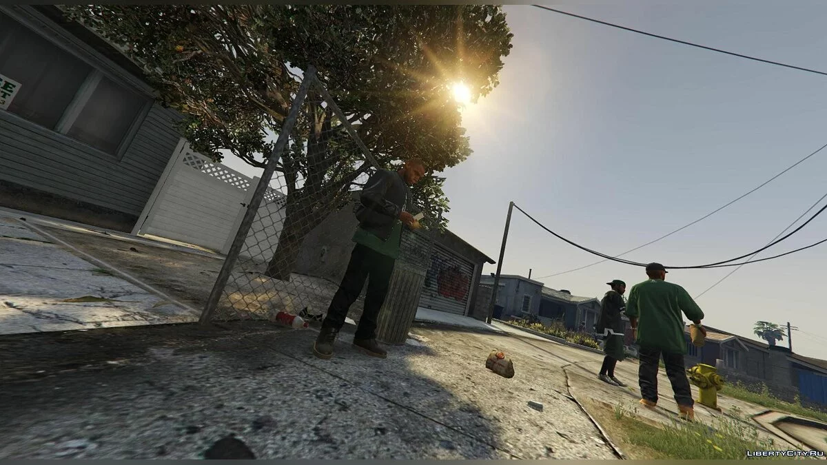 Grove Street Families / GTA 5