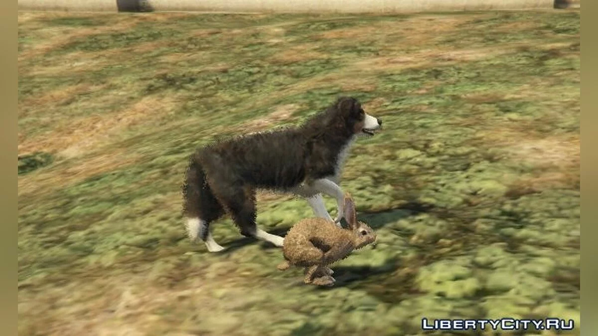 Pet Lovers 1.1 / GTA 5