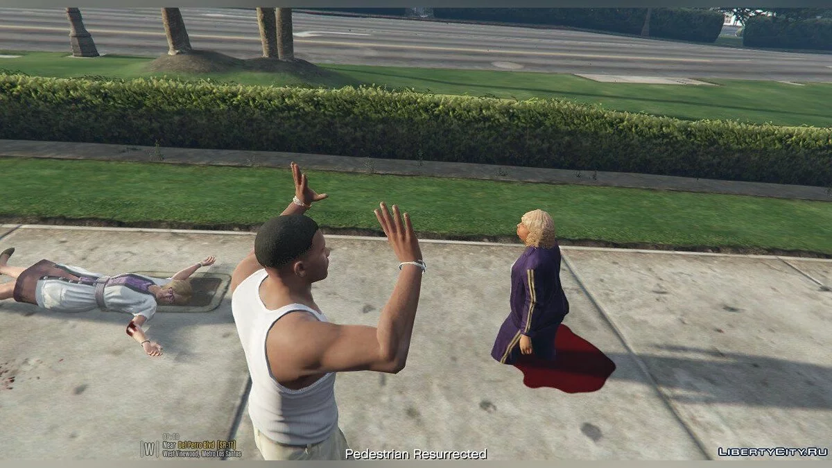 ResurrectV 1.0 / GTA 5