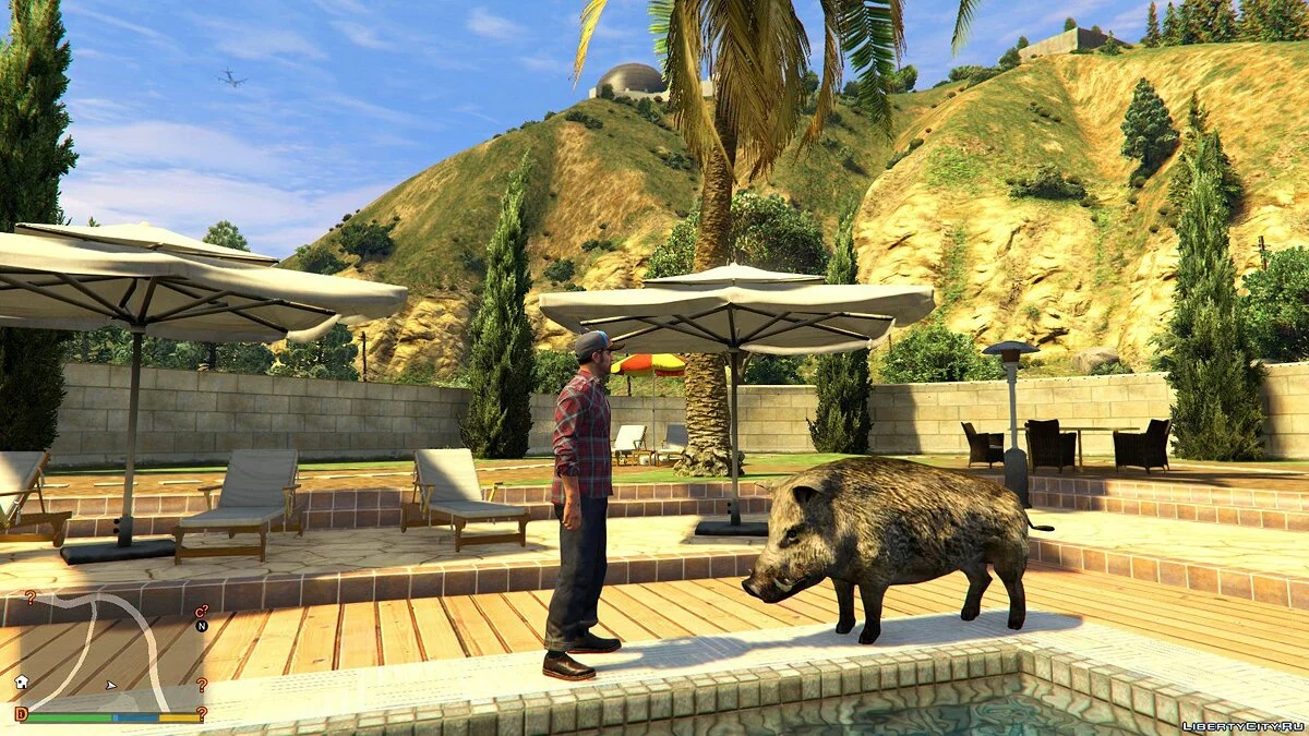 CompanionV 1.1 / GTA 5