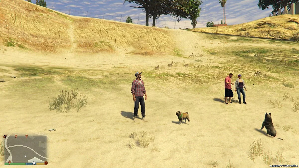 CompanionV 1.1 / GTA 5