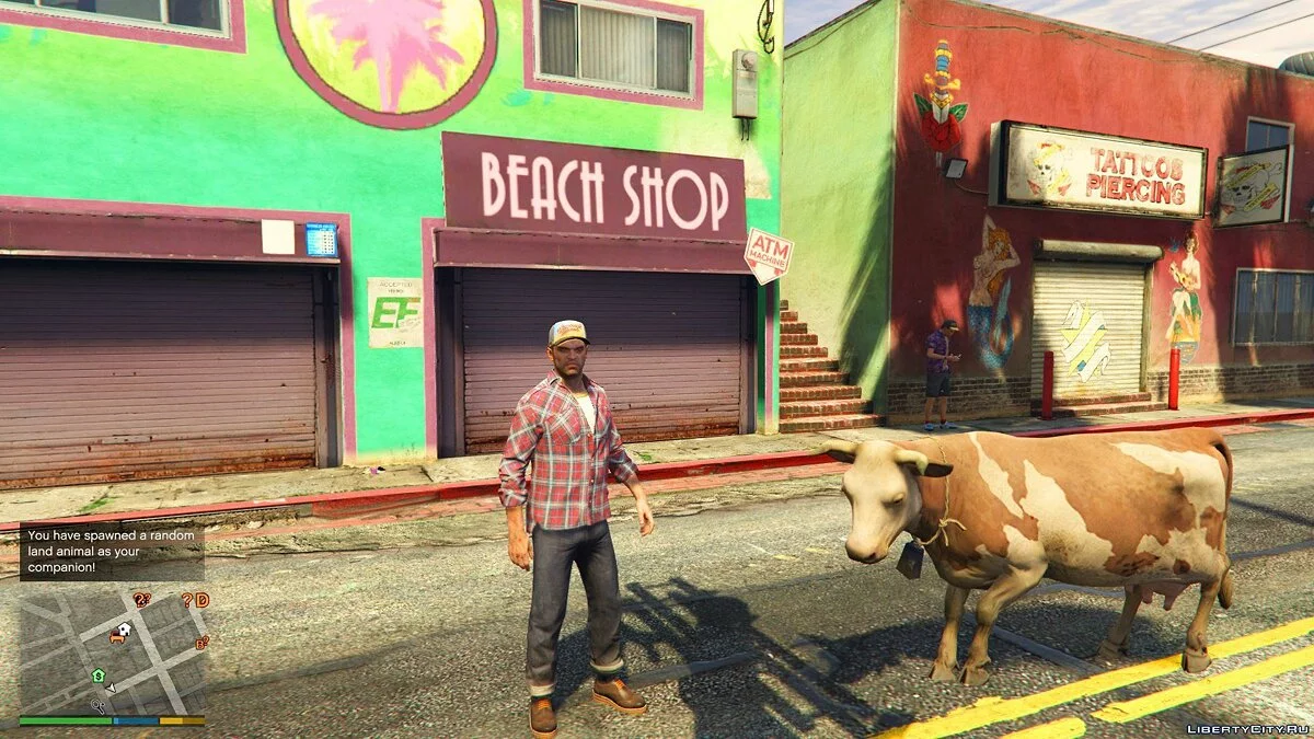 CompanionV 1.1 / GTA 5
