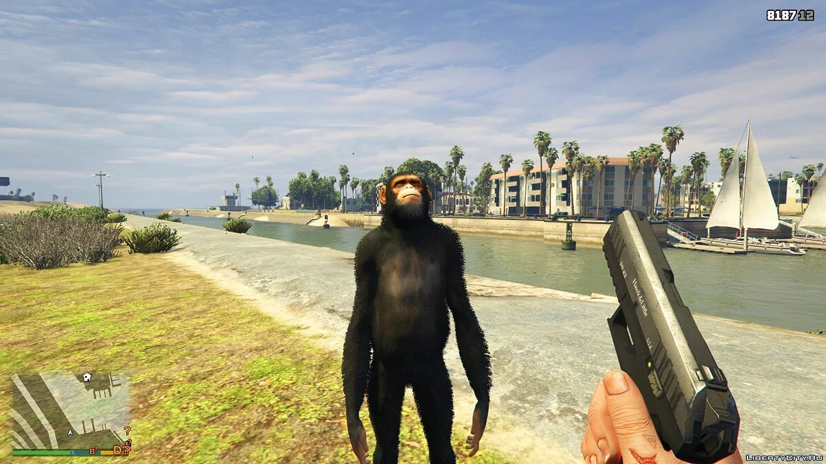 CompanionV 1.1 / GTA 5