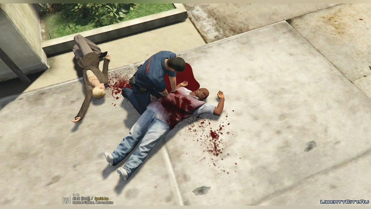 CPR 1.1 / GTA 5
