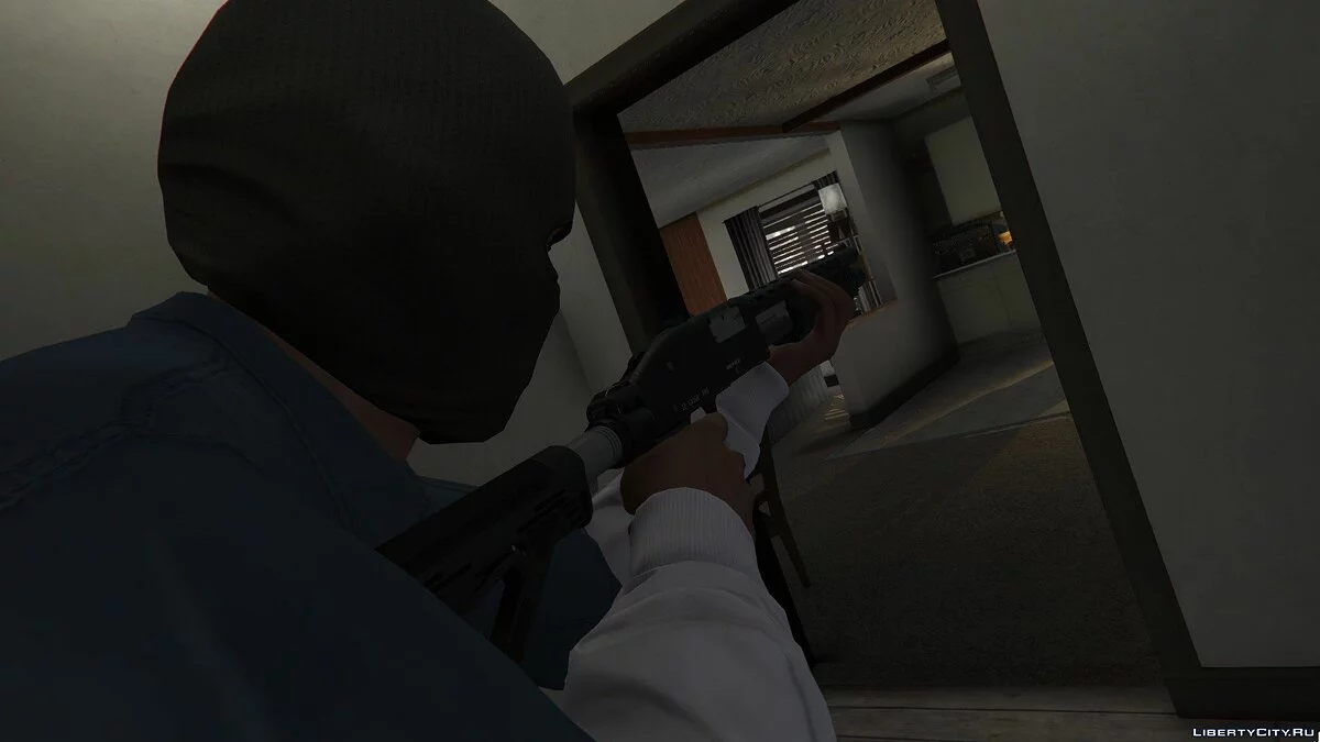 Home Invasion 2.0 / GTA 5