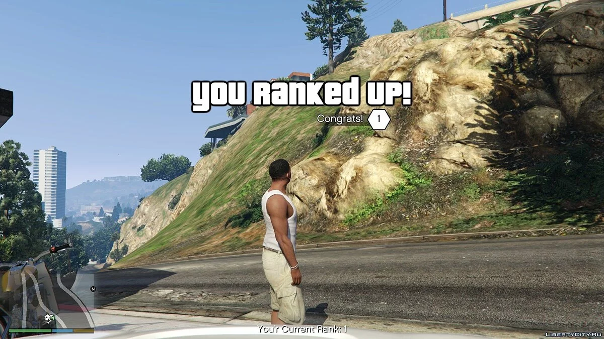 Level System For Offline! [.NET] 1.5 / GTA 5