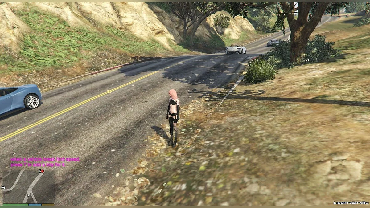 SpeedCamera 1.0 / GTA 5