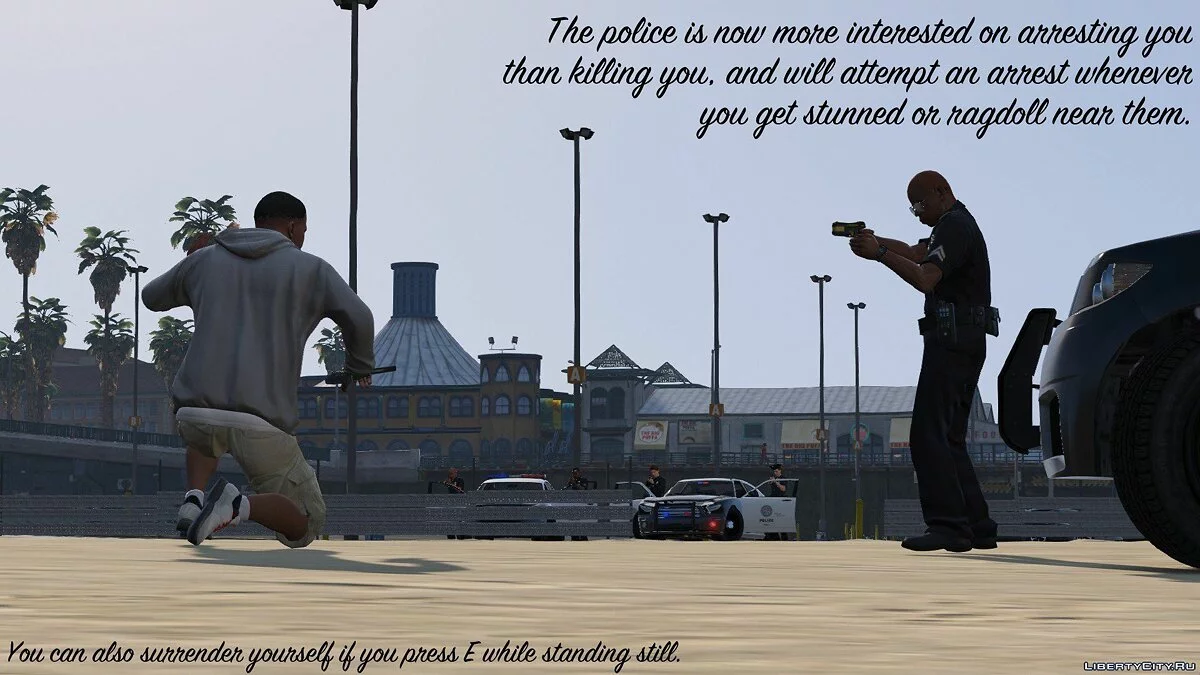 Better Chases + Arrest Warrant 1.2b / GTA 5