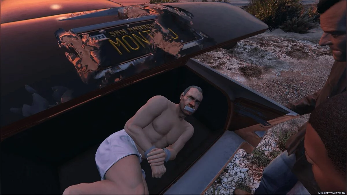 First Person Cutscenes 1.3 - Все кат-сцены от первого лица / GTA 5