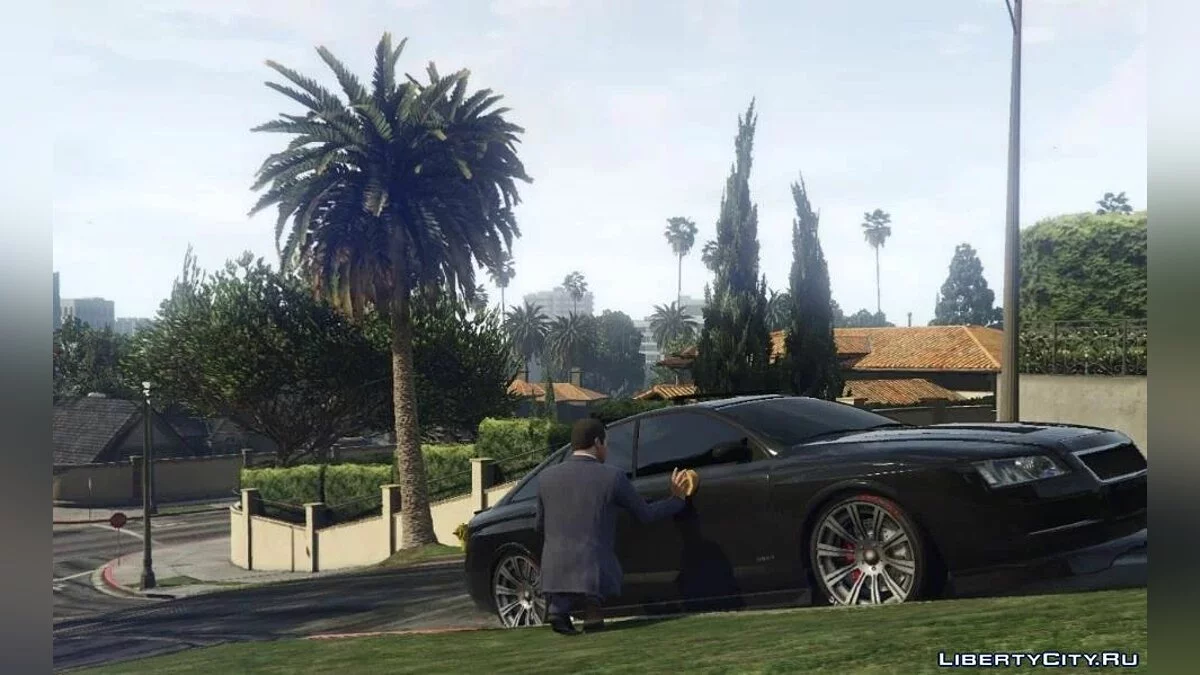 Возможность мыть машину / GTA 5