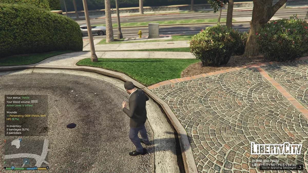 Рана от огнестрельного оружия 2 / GTA 5