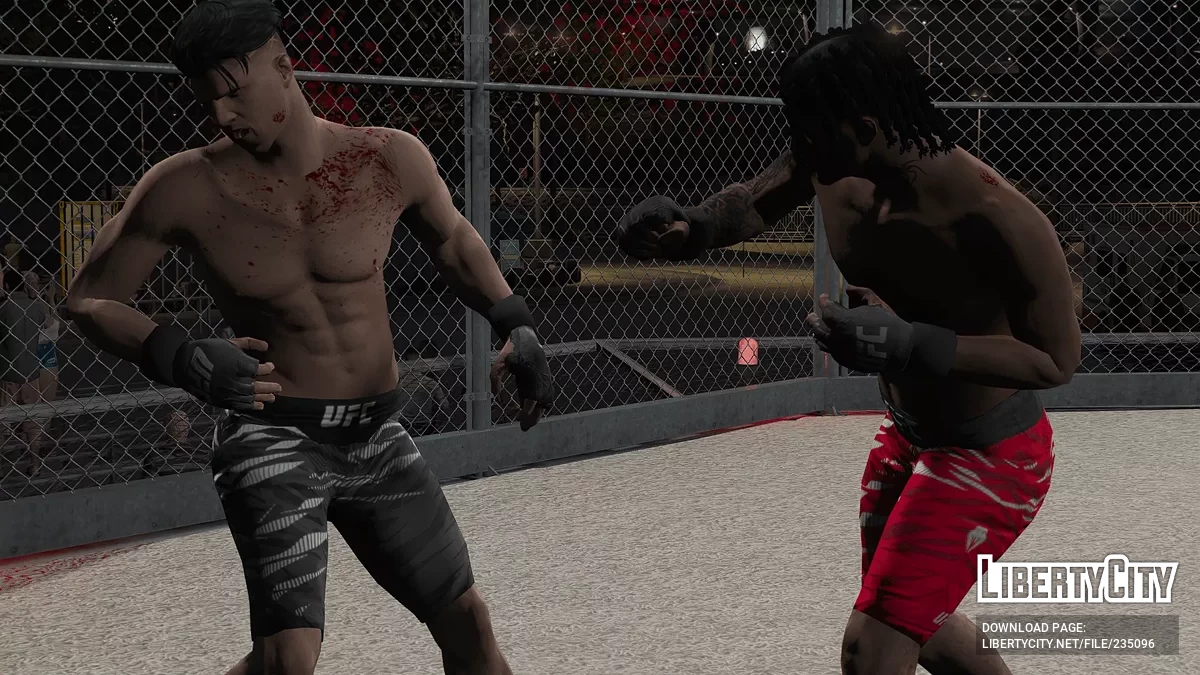 Шорты и перчатки UFC для MP Male / GTA 5
