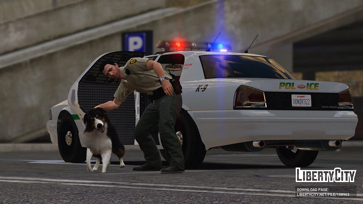 San Andreas Hospital Police Pack [EUP | Vehicles | Lore-Friendly] 1.0.0 / GTA 5