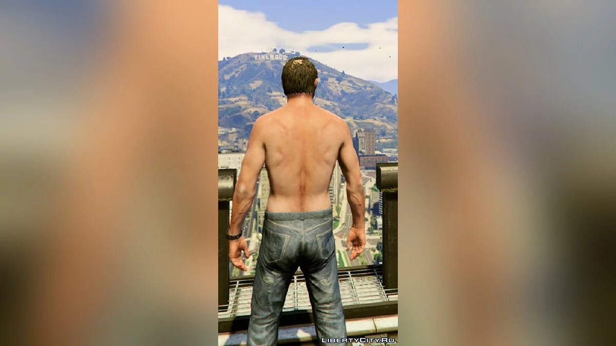 Cleaner Trevor V / GTA 5