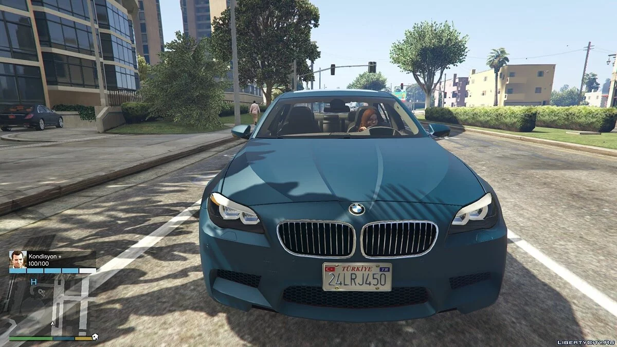Turkish License Plates / GTA 5