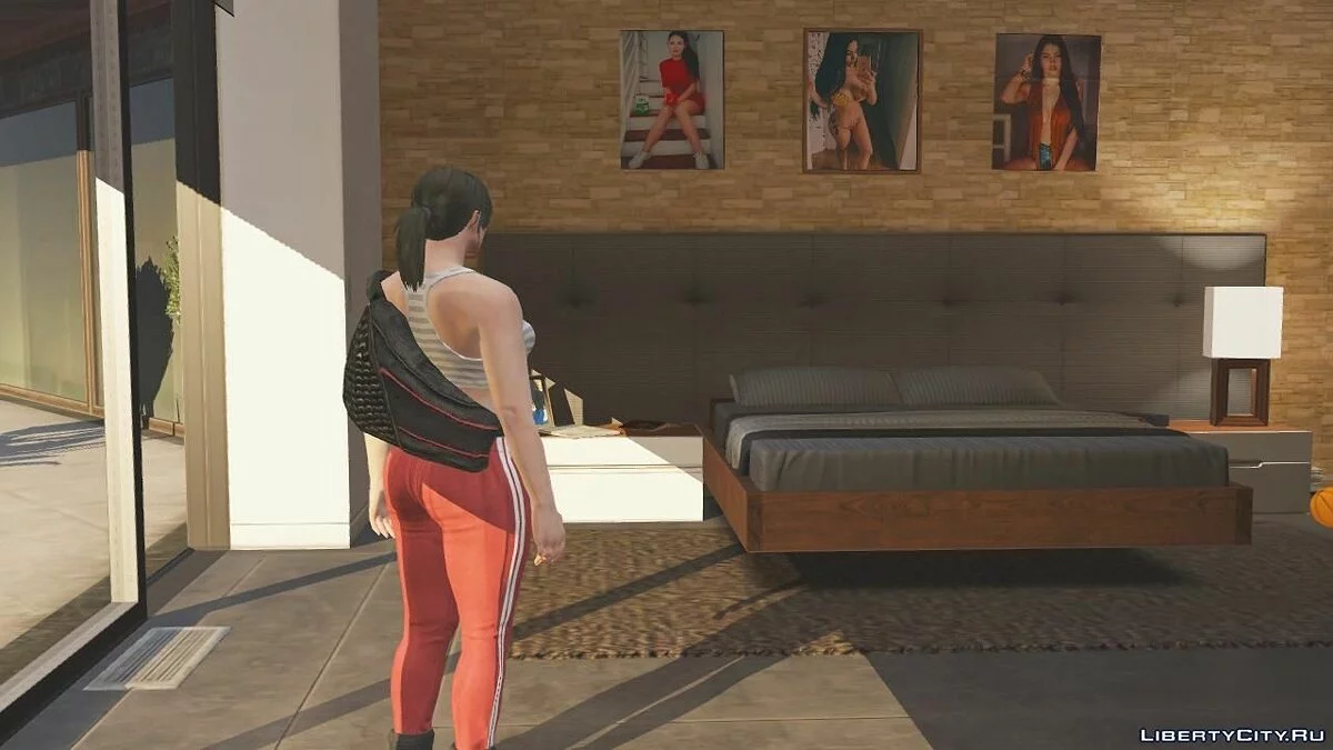 Beautiful Model Posters/Paintings/Photos for Franklin's House 1.1 / GTA 5