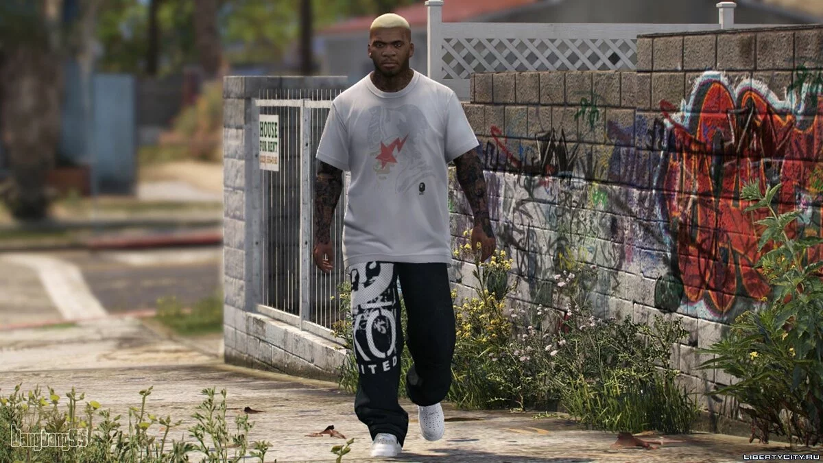 Новое лицо для Франклина / GTA 5