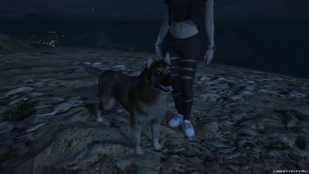 Хаски вместо Чопа / GTA 5