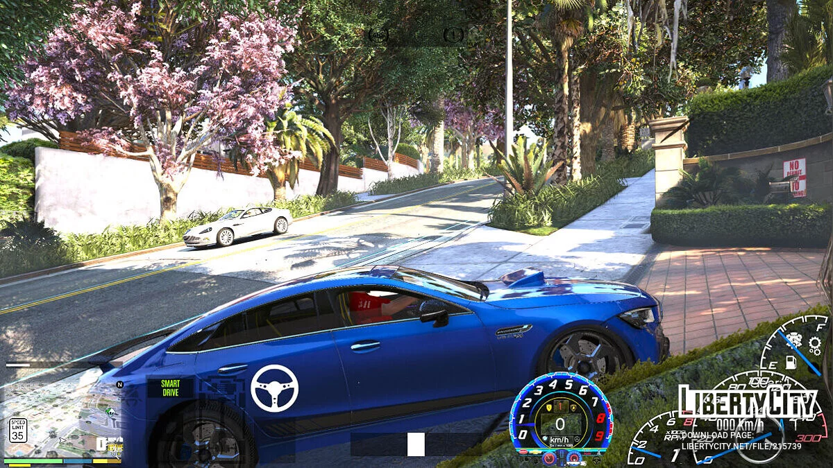 Множество деревьев возле дома Майкла / GTA 5