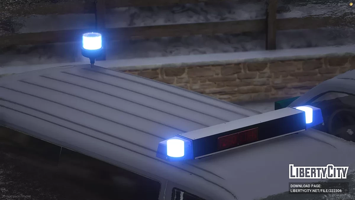 Volkswagen T5 Customs Authority / GTA 5
