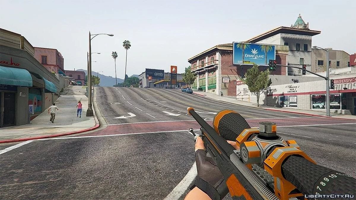 AK47 & AWP - Carbon Edition / GTA 5