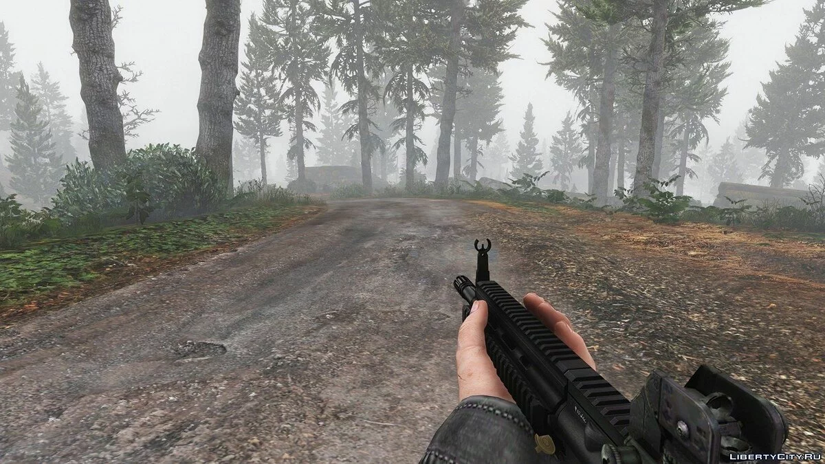 HK416 Full Attachments & Animated / GTA 5