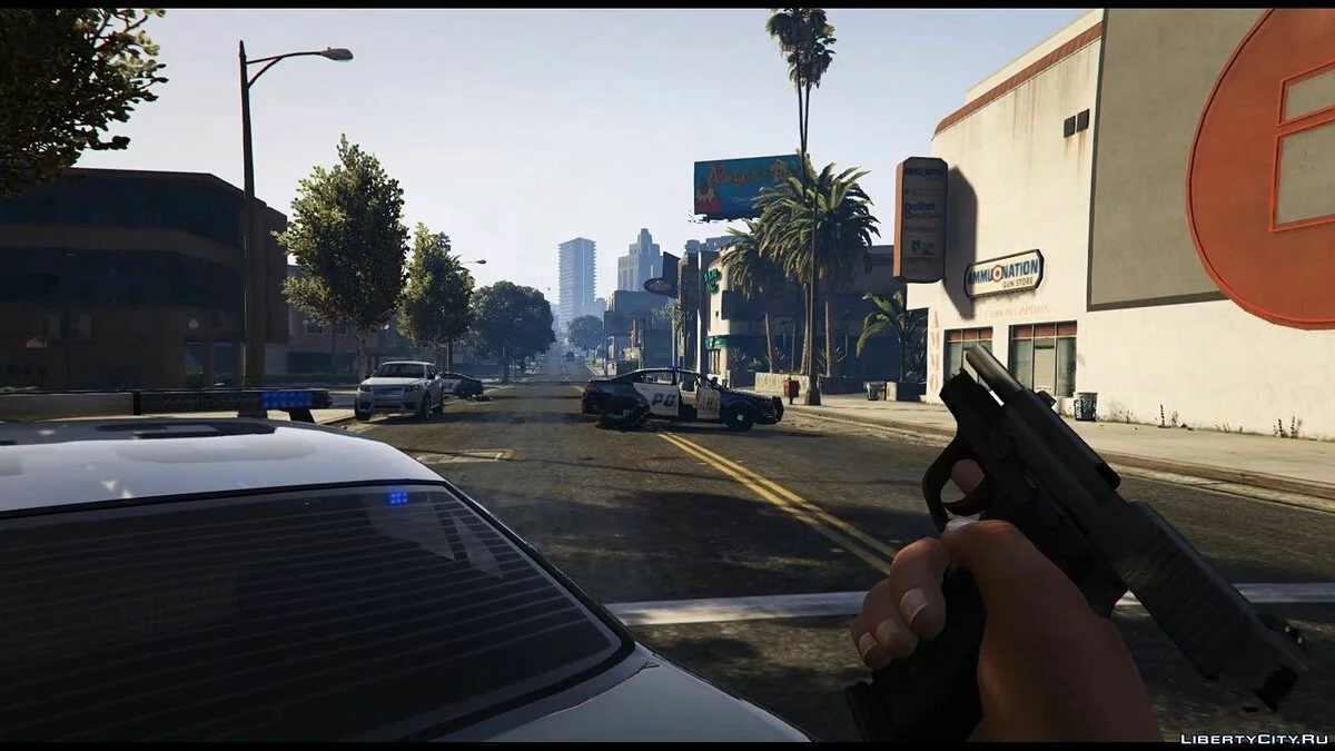 Sig Sauer P228 / GTA 5