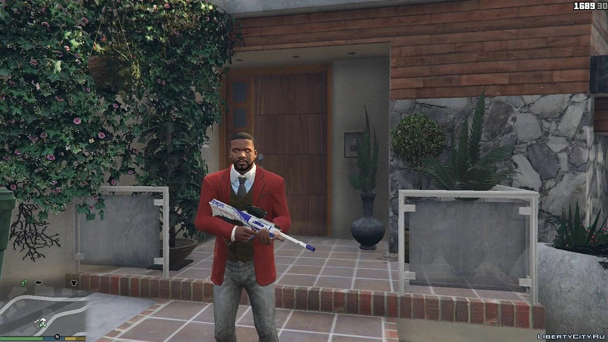 AUG Ahikabara Accept / GTA 5