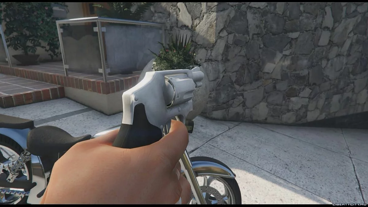 .38 Special / GTA 5
