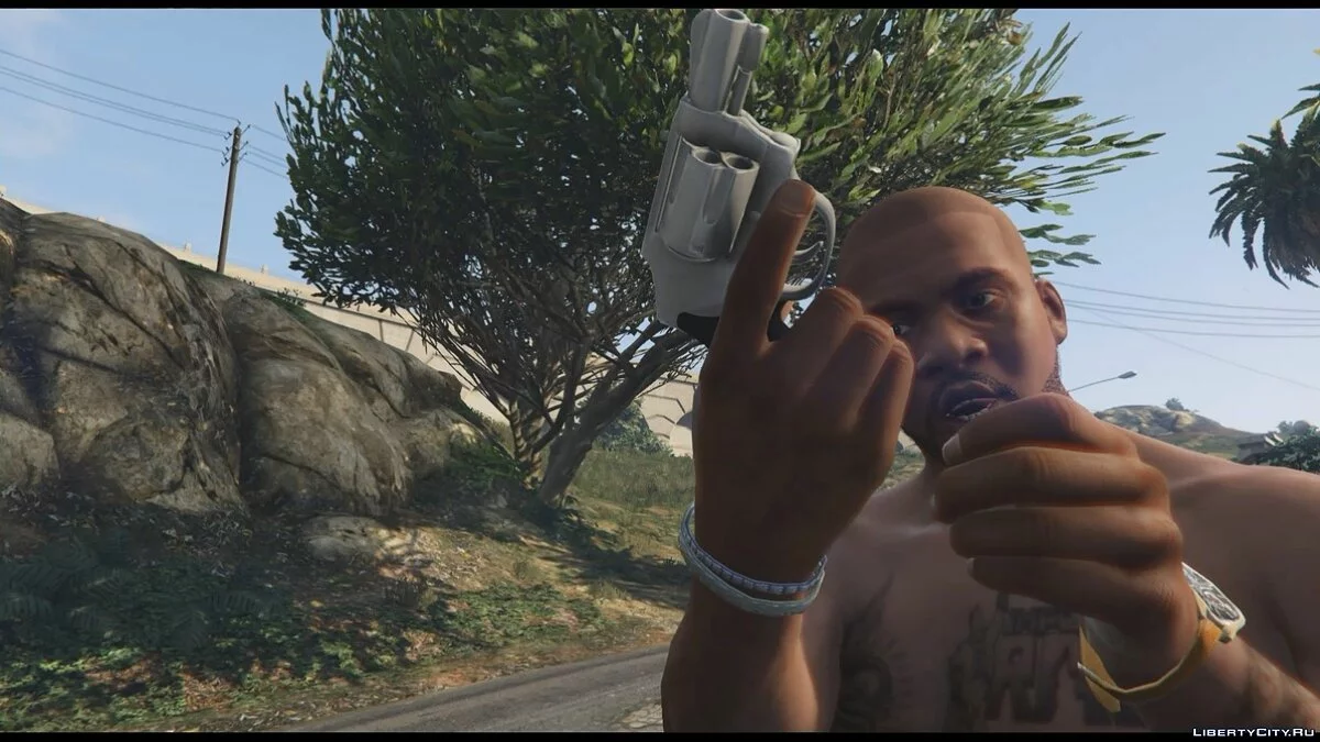 .38 Special / GTA 5