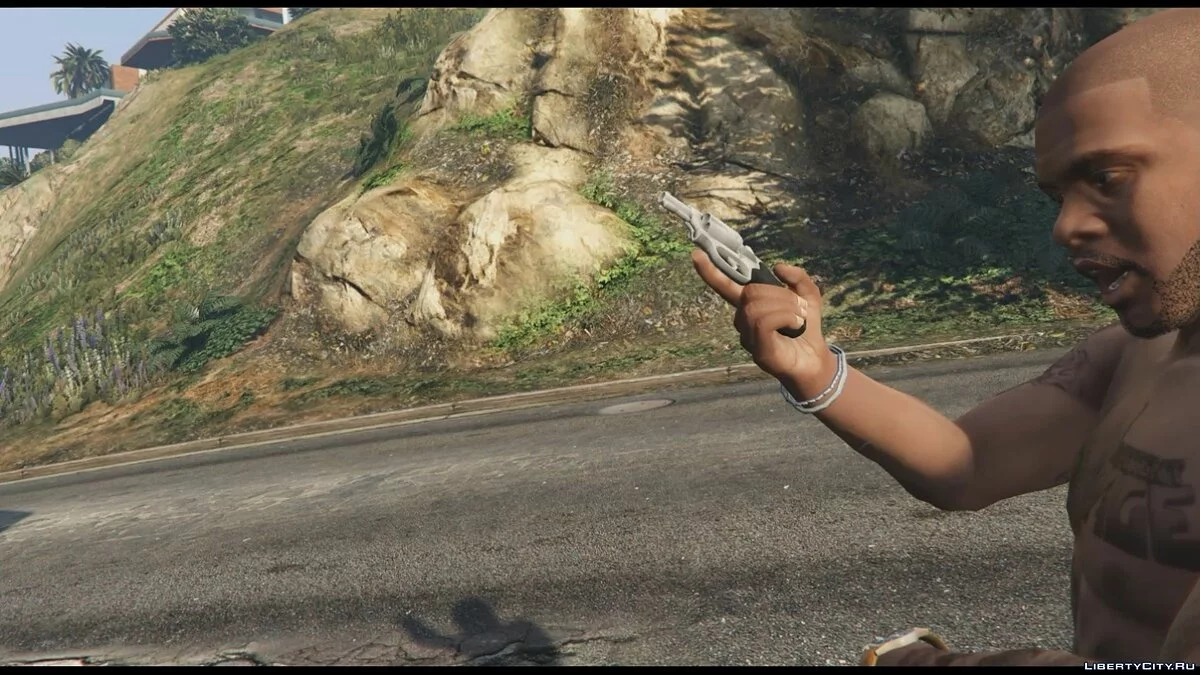 .38 Special / GTA 5
