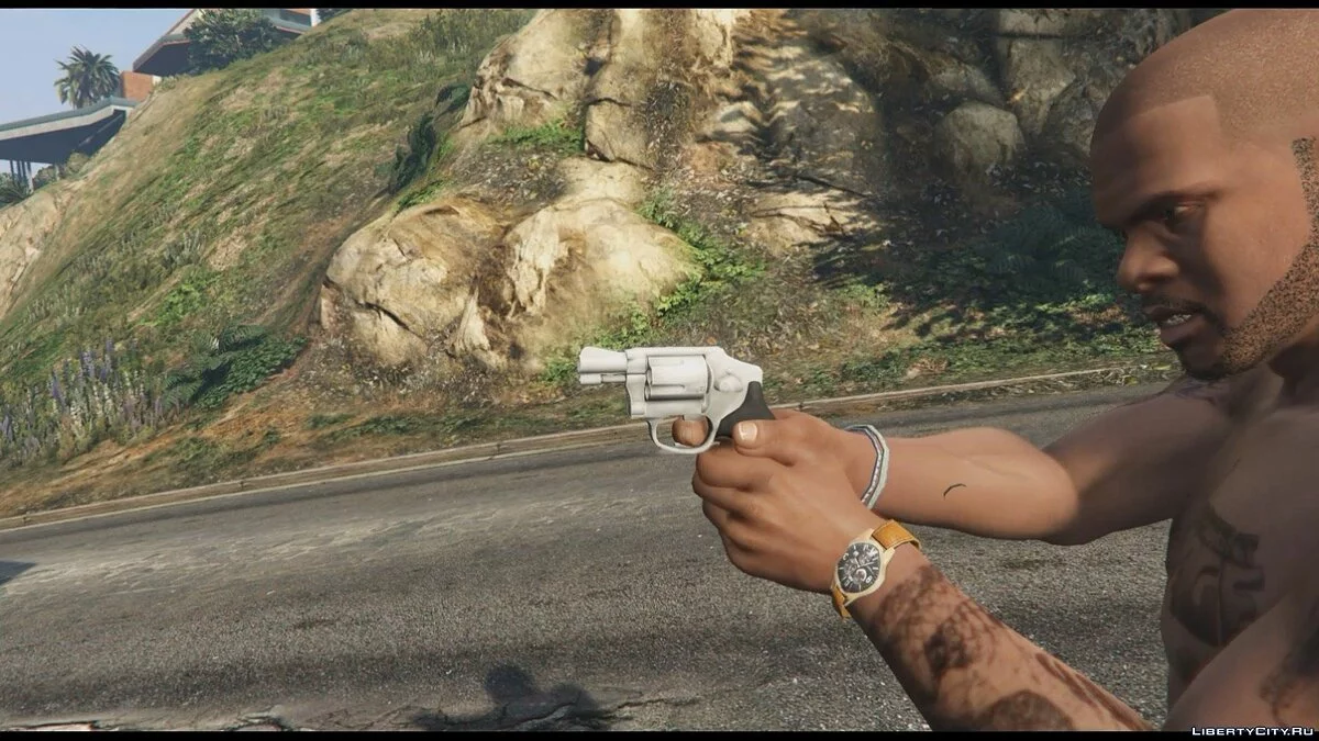 .38 Special / GTA 5