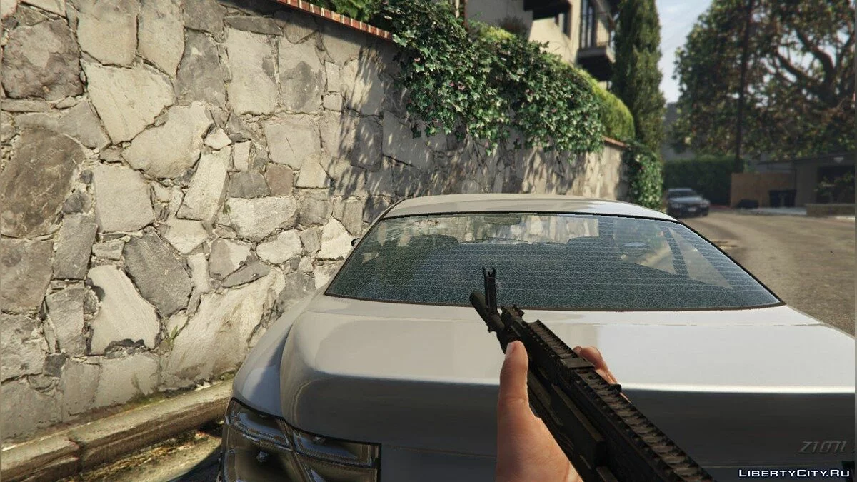 AK-12 1.0 / GTA 5