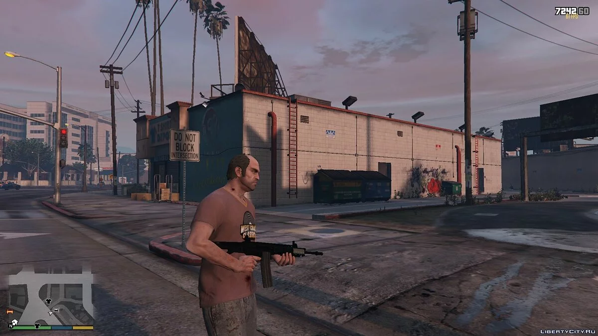 ACW-R / GTA 5