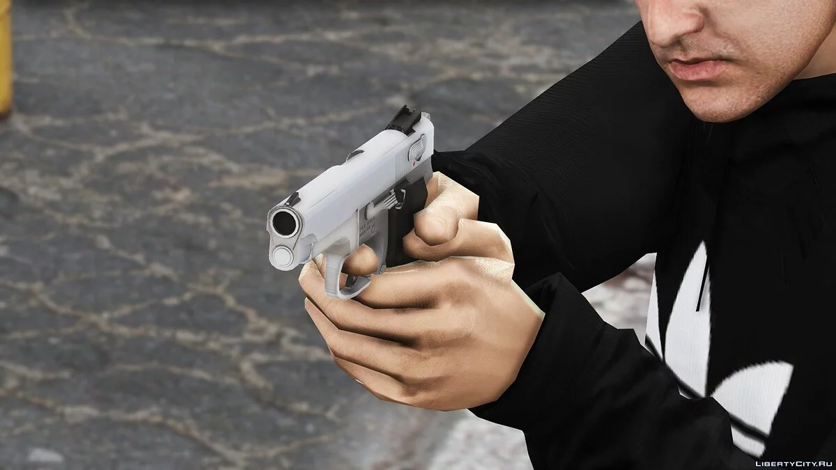 Smith & Wesson Model 5946 RCMP Service Pistol / GTA 5