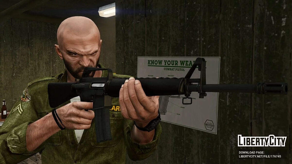 [RS2V] Colt M16A1 1.0 / GTA 5
