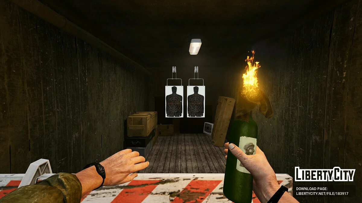 [INS2] Molotov Cocktail / GTA 5